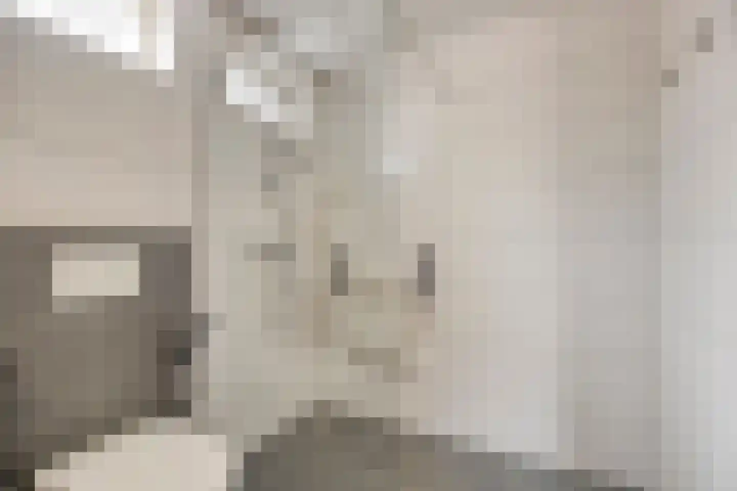 Schubertlaan 1 Helmond thumbnail 5