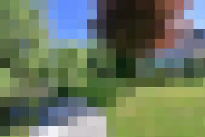 Schubertlaan 10 Naarden thumbnail 26