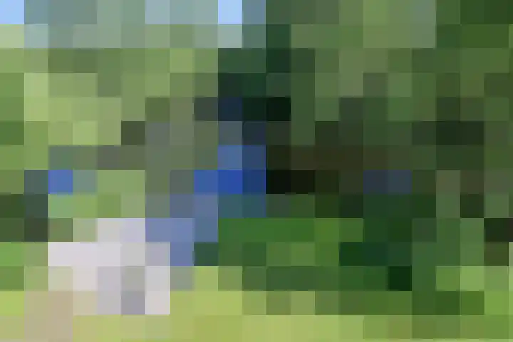 Schubertlaan 10 Naarden thumbnail 28