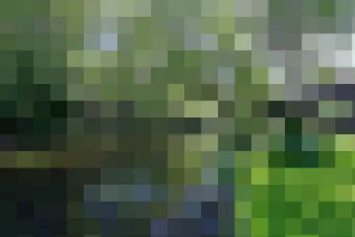 Schubertlaan 10 Naarden thumbnail 30