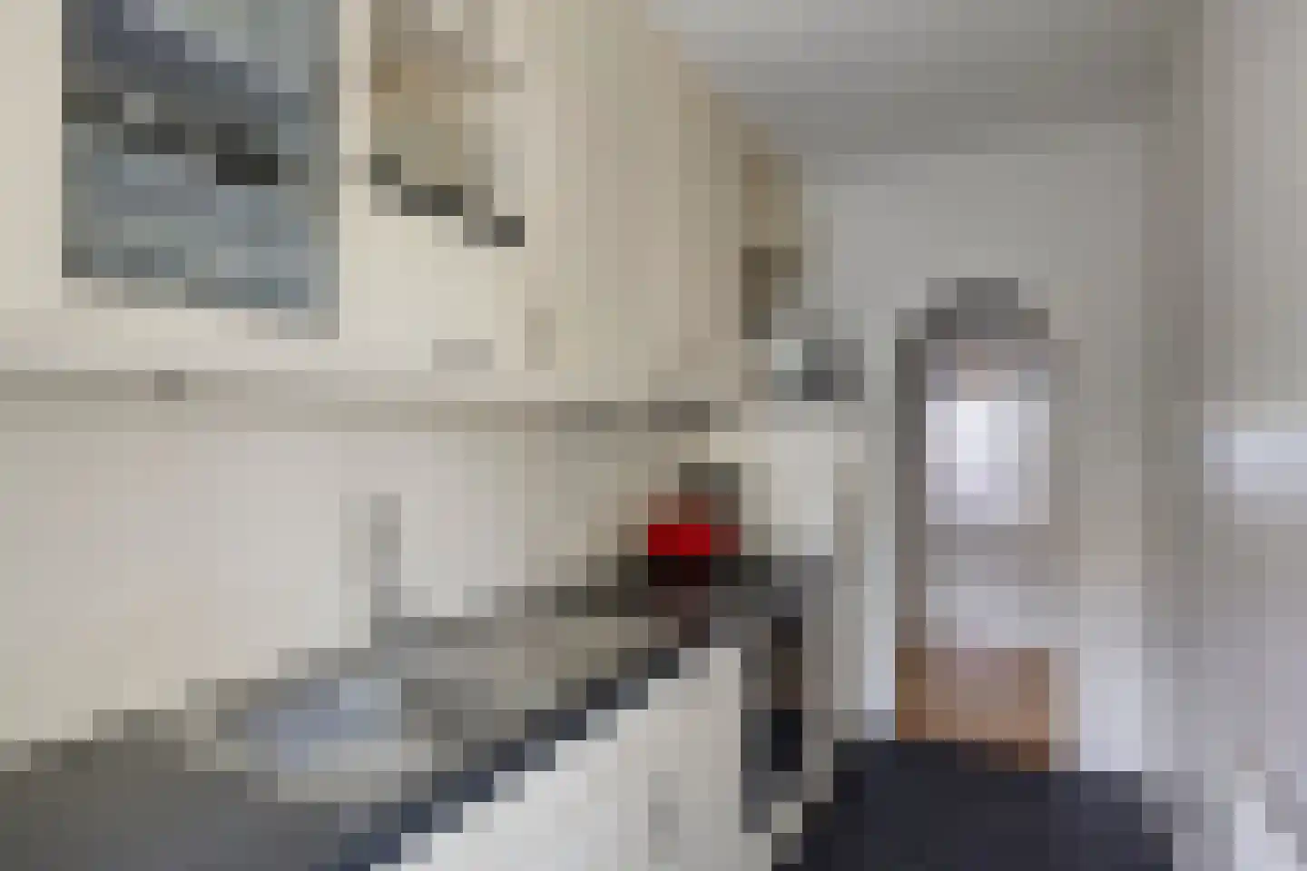 Schubertlaan 100 Leiden thumbnail 22