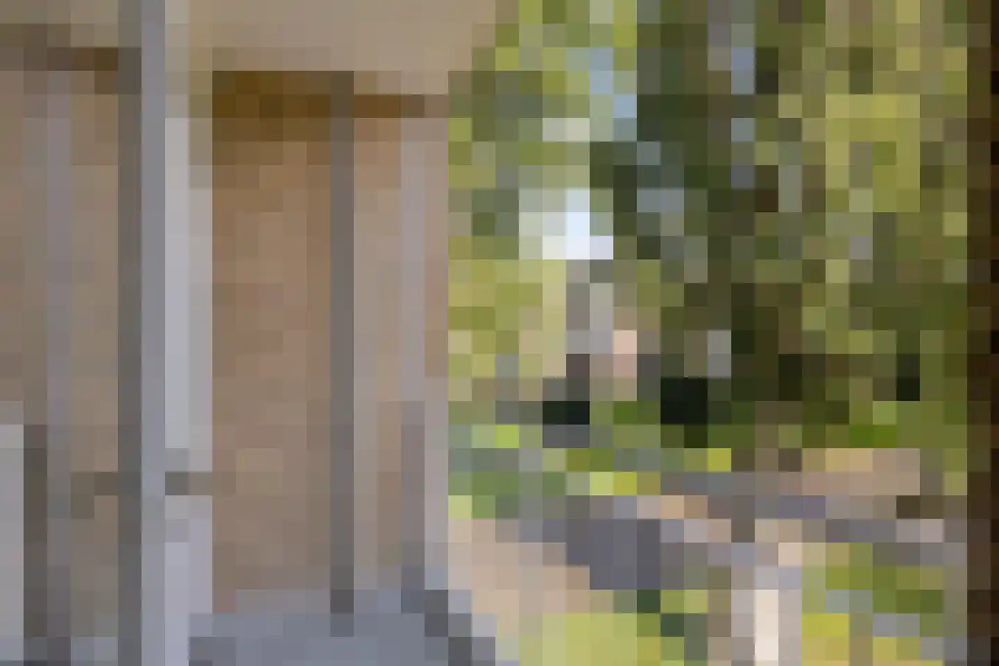 Schubertlaan 100 Leiden thumbnail 24