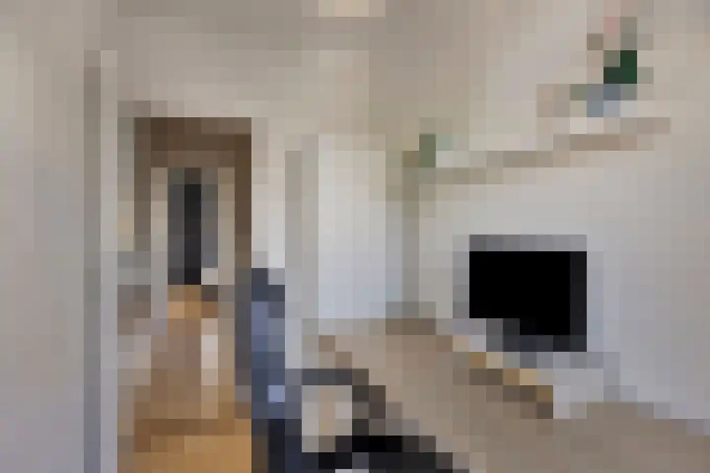 Schubertlaan 100 Leiden thumbnail 31