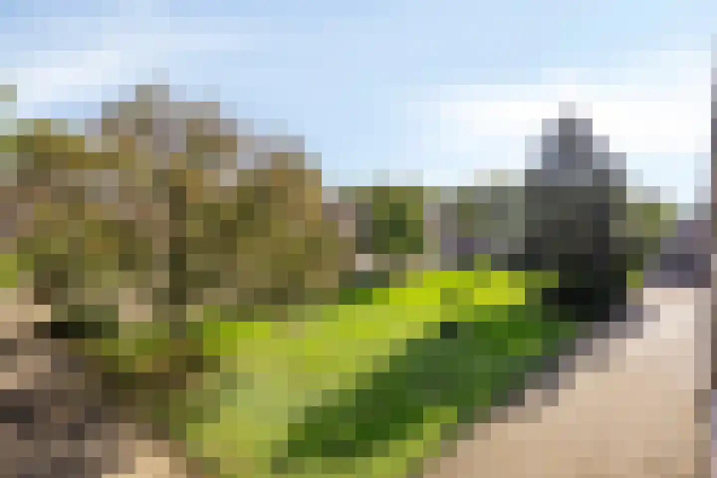 Schubertlaan 100 Leiden thumbnail 35