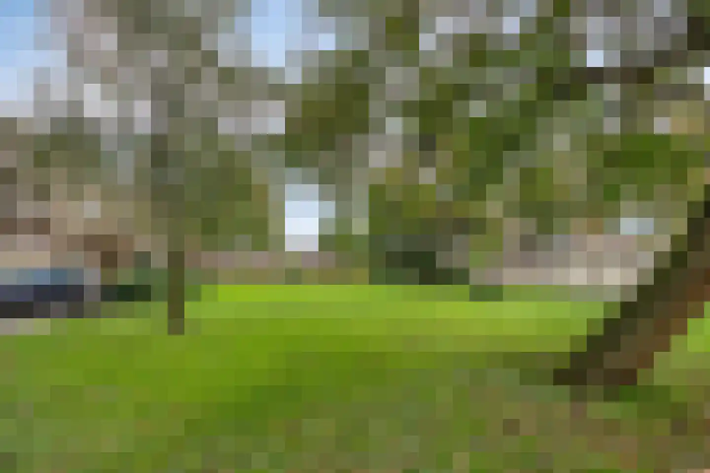 Schubertlaan 100 Leiden thumbnail 37