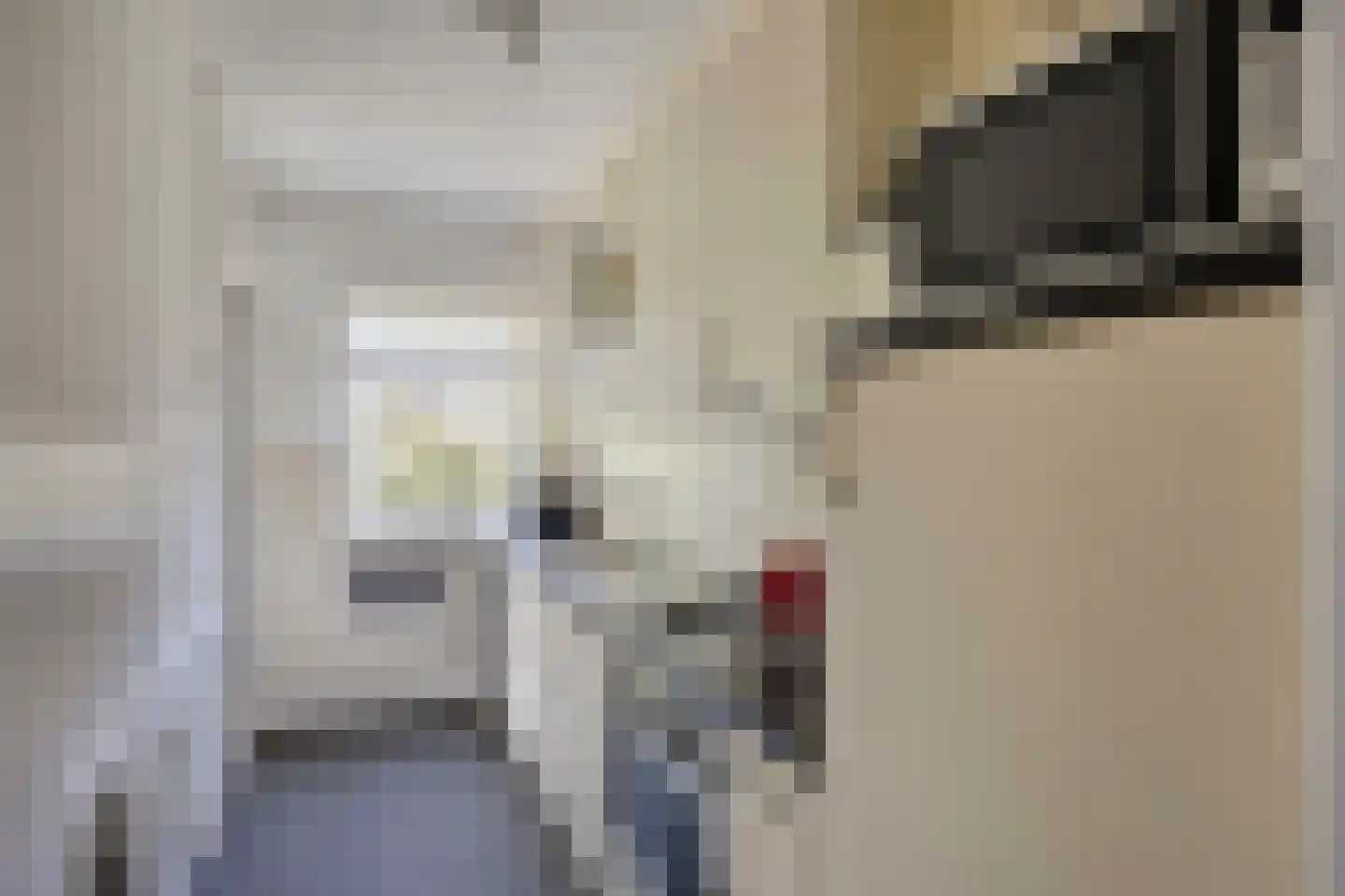 Schubertlaan 100 Leiden thumbnail 5