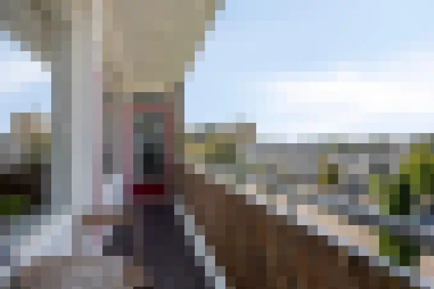 Schubertlaan 100 Leiden thumbnail 7