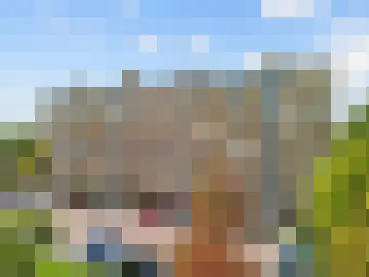 Schubertlaan 109 Leiden thumbnail 35