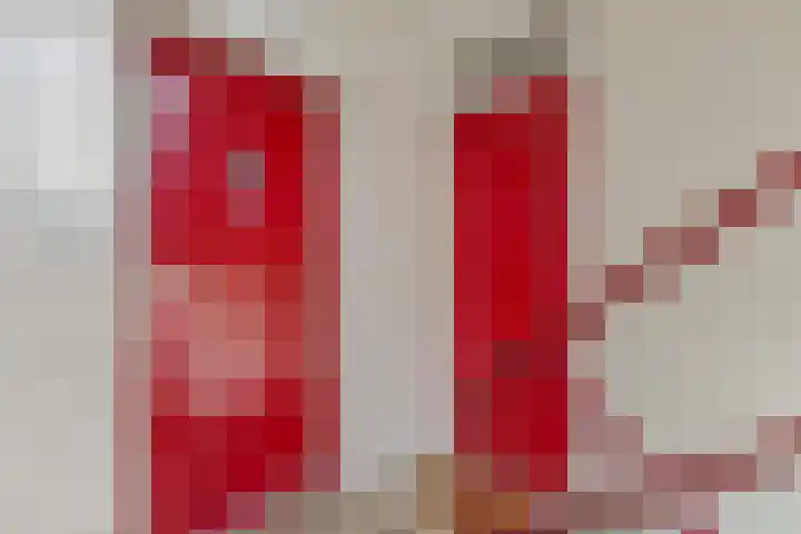 Schubertlaan 109 Leiden thumbnail 5