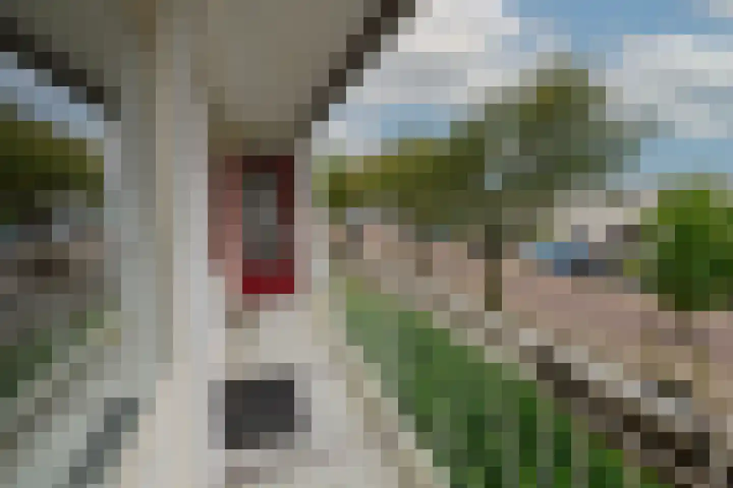 Schubertlaan 110 Leiden thumbnail 17