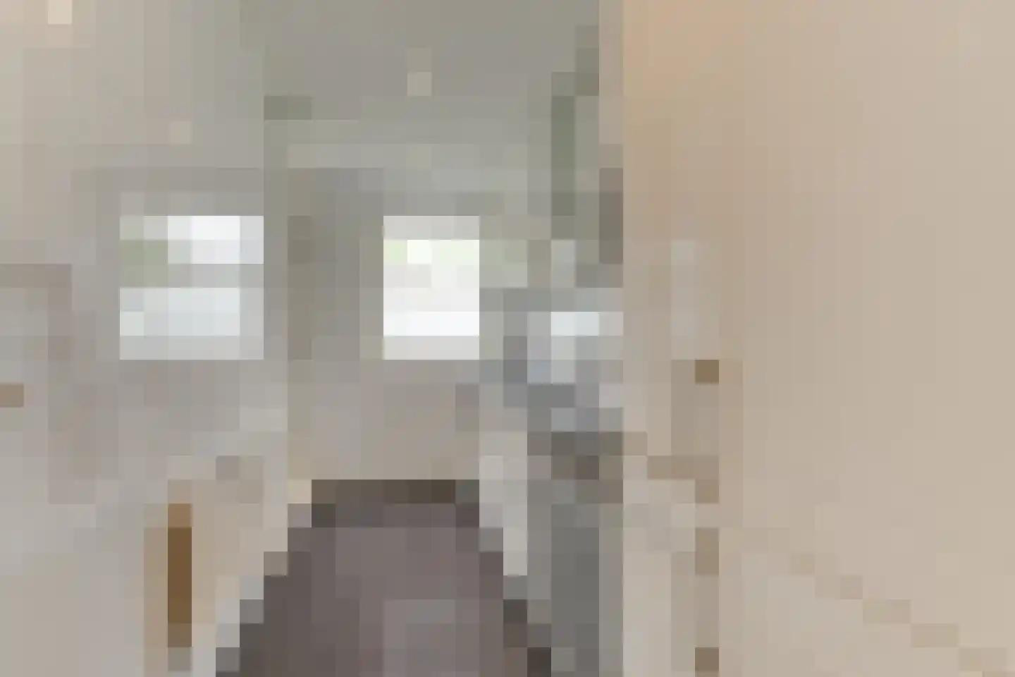 Schubertlaan 110 Leiden thumbnail 19