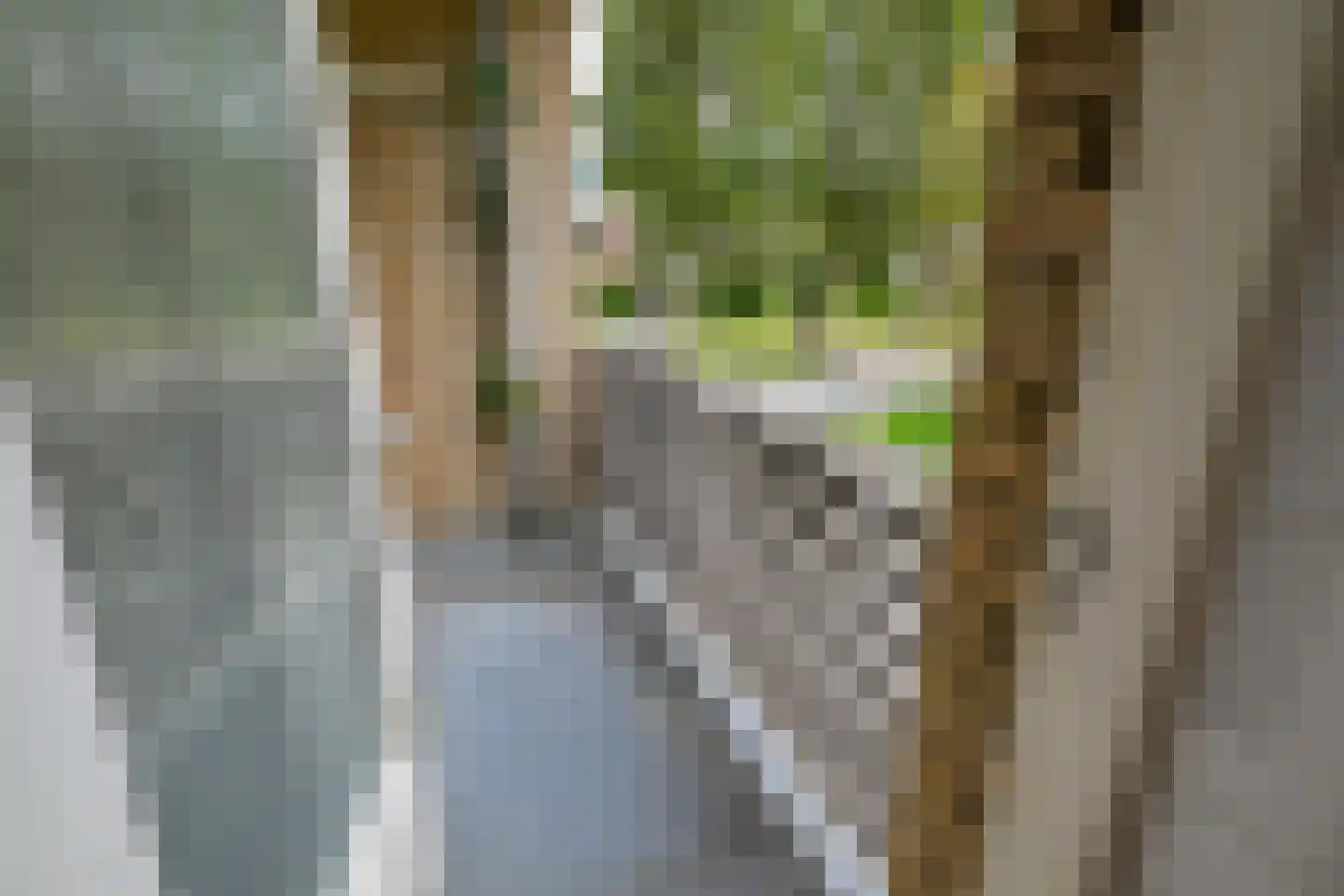 Schubertlaan 110 Leiden thumbnail 22