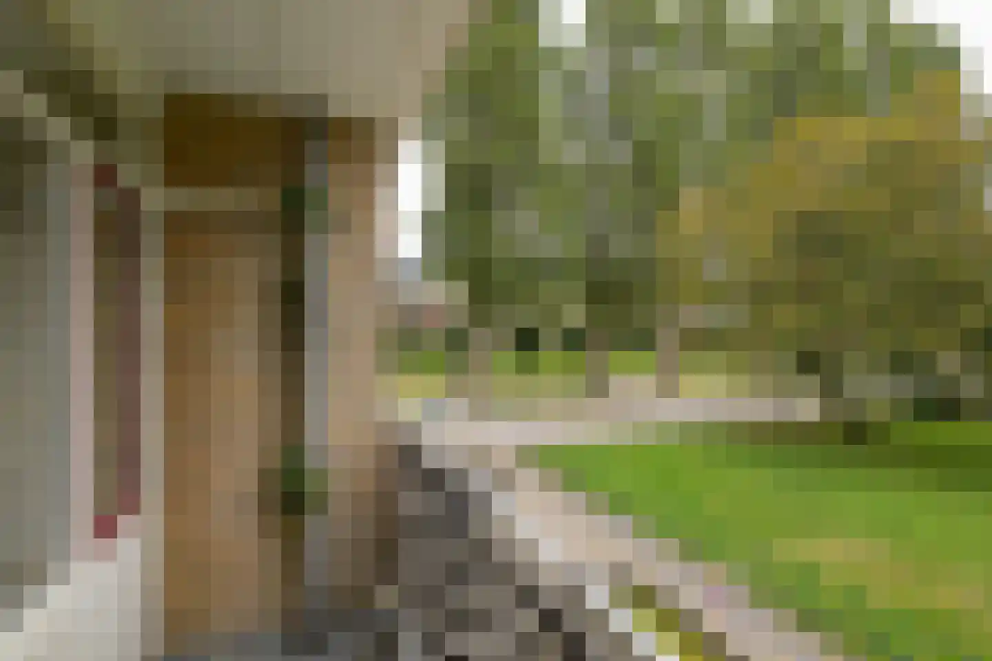 Schubertlaan 110 Leiden thumbnail 23