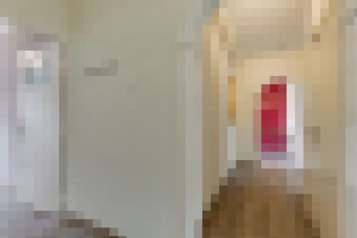 Schubertlaan 110 Leiden thumbnail 8
