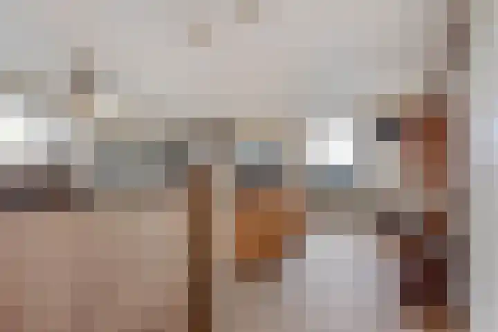 Schubertlaan 113 Maassluis thumbnail 14