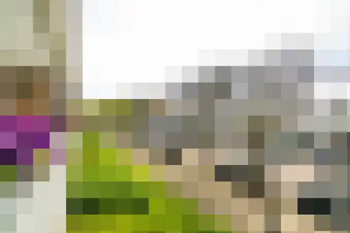 Schubertlaan 116 Leiden thumbnail 22