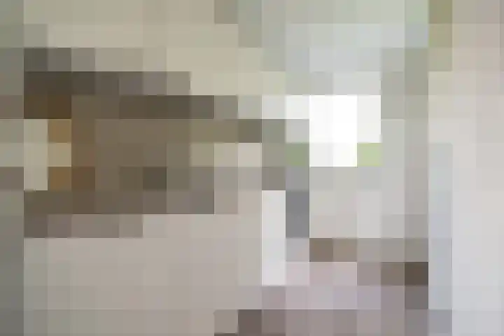 Schubertlaan 116 Leiden thumbnail 9