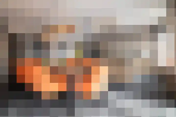 Schubertlaan 12 Rotterdam thumbnail 10