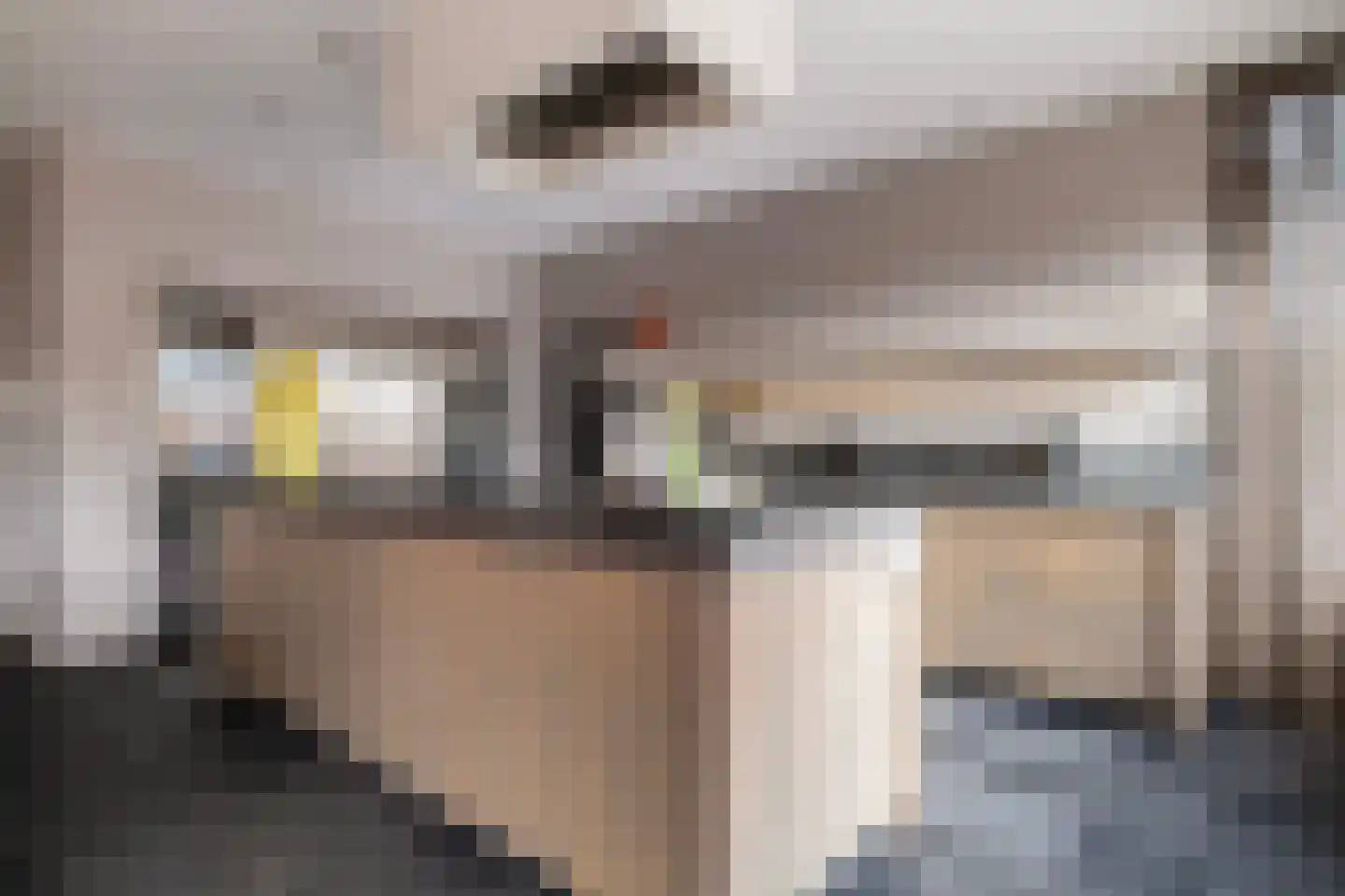 Schubertlaan 12 Rotterdam thumbnail 13