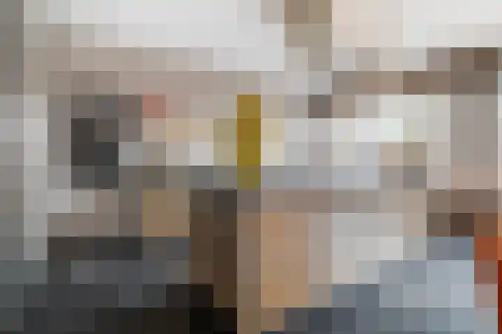Schubertlaan 12 Rotterdam thumbnail 13