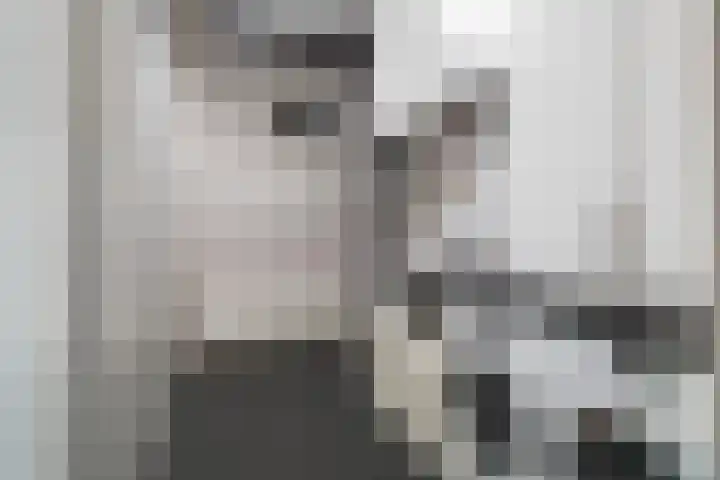 Schubertlaan 12 Rotterdam thumbnail 15
