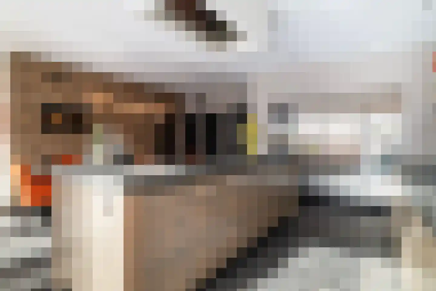 Schubertlaan 12 Rotterdam thumbnail 15