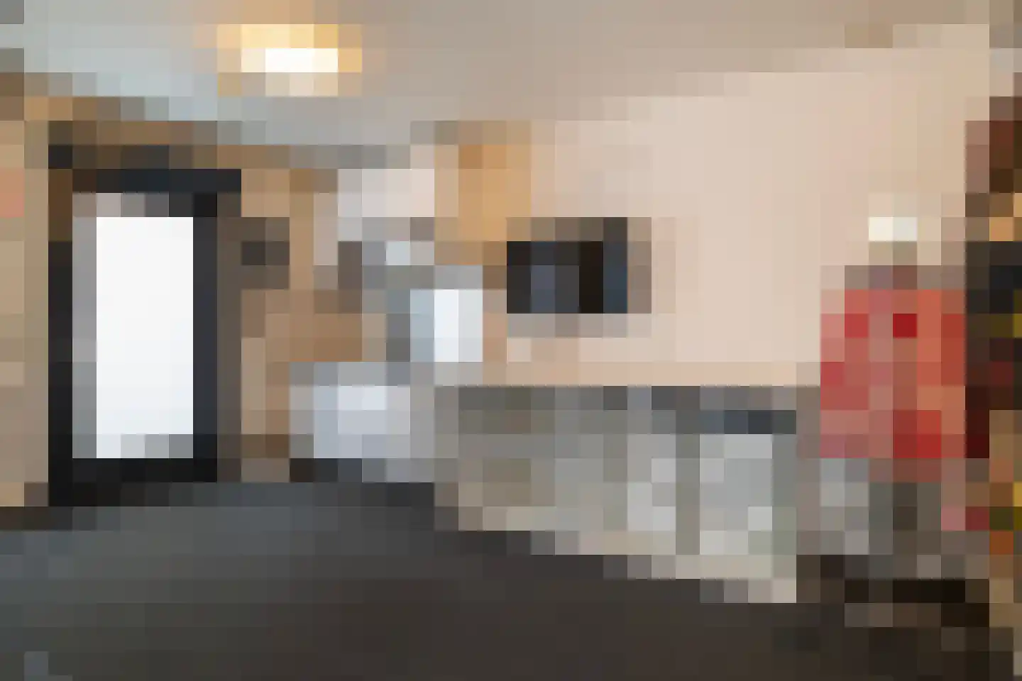 Schubertlaan 12 Rotterdam thumbnail 17