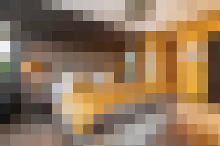 Schubertlaan 12 Rotterdam thumbnail 18