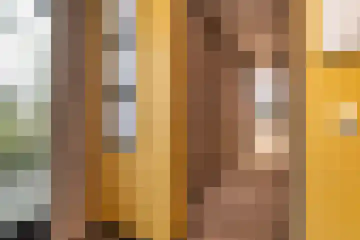 Schubertlaan 12 Rotterdam thumbnail 19