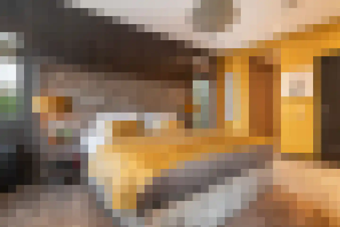 Schubertlaan 12 Rotterdam thumbnail 19