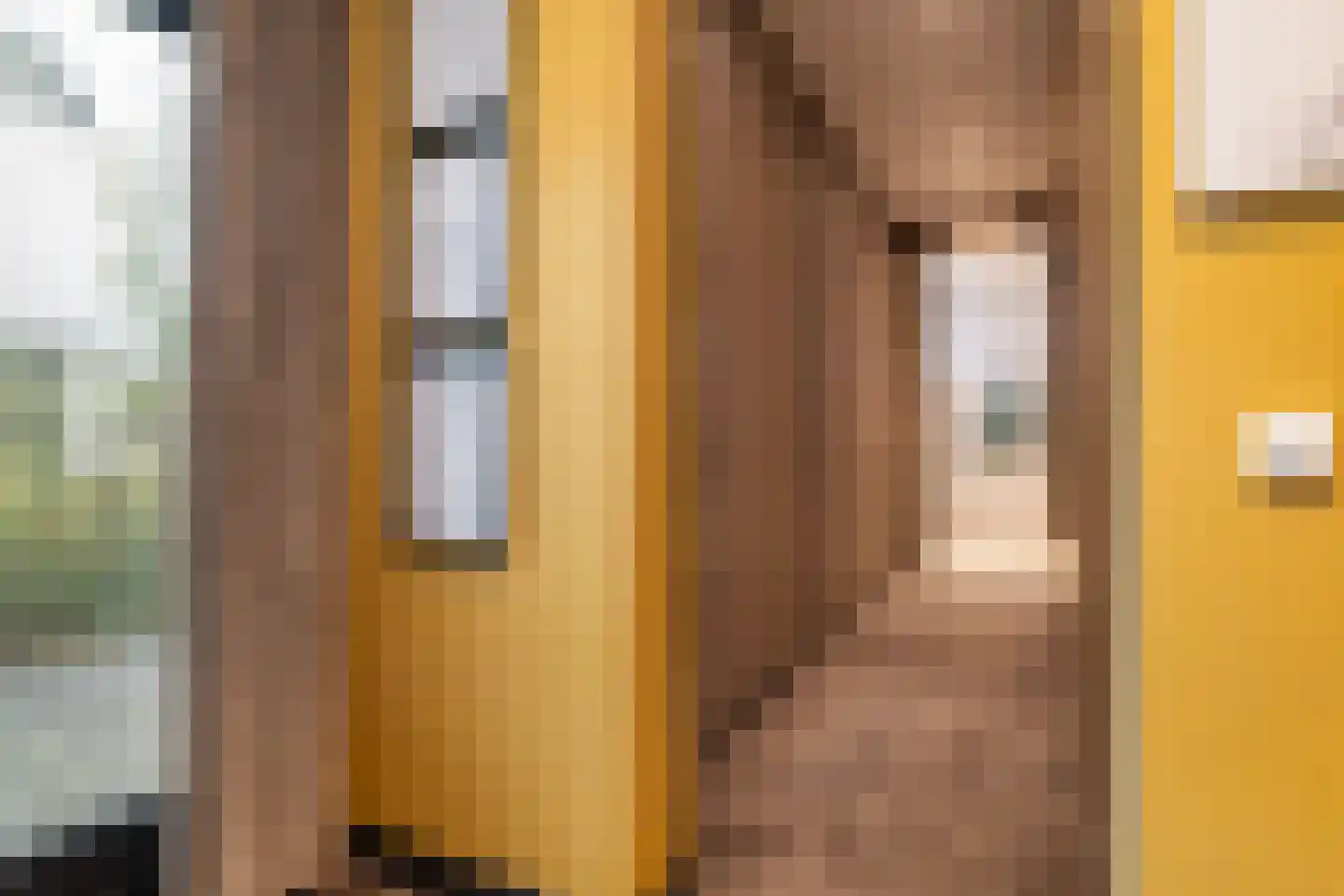 Schubertlaan 12 Rotterdam thumbnail 20