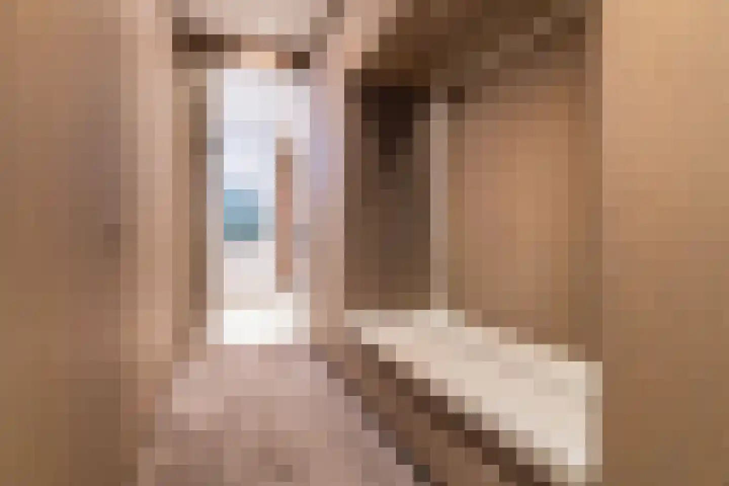 Schubertlaan 12 Rotterdam thumbnail 21