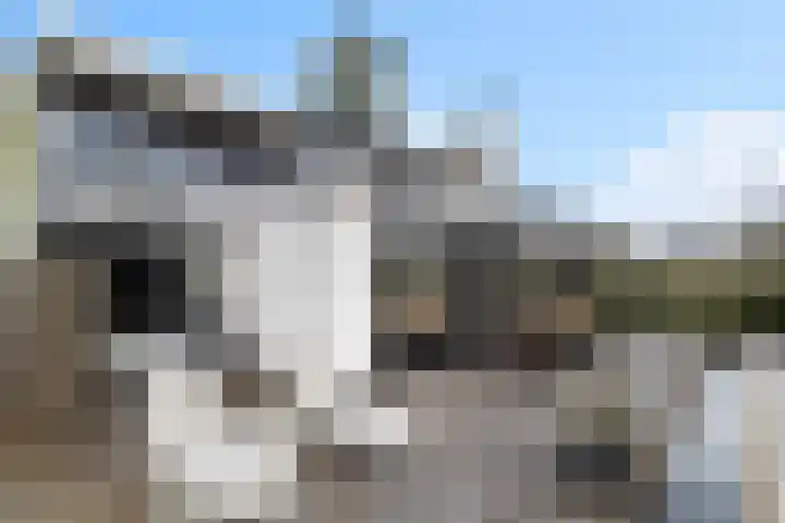 Schubertlaan 12 Rotterdam thumbnail 28