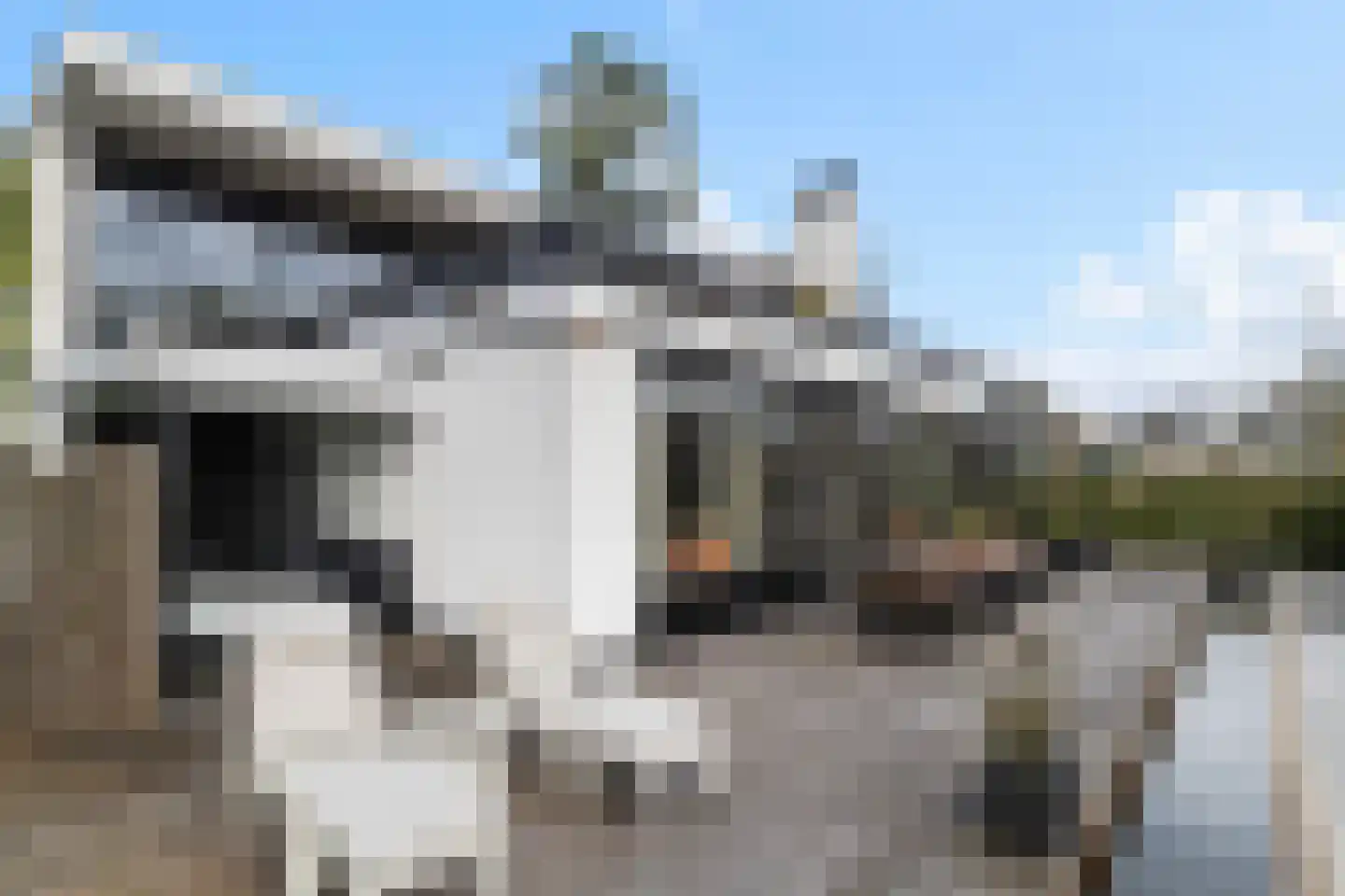 Schubertlaan 12 Rotterdam thumbnail 29