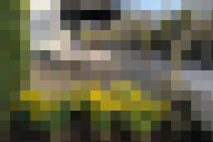Schubertlaan 12 Rotterdam thumbnail 29