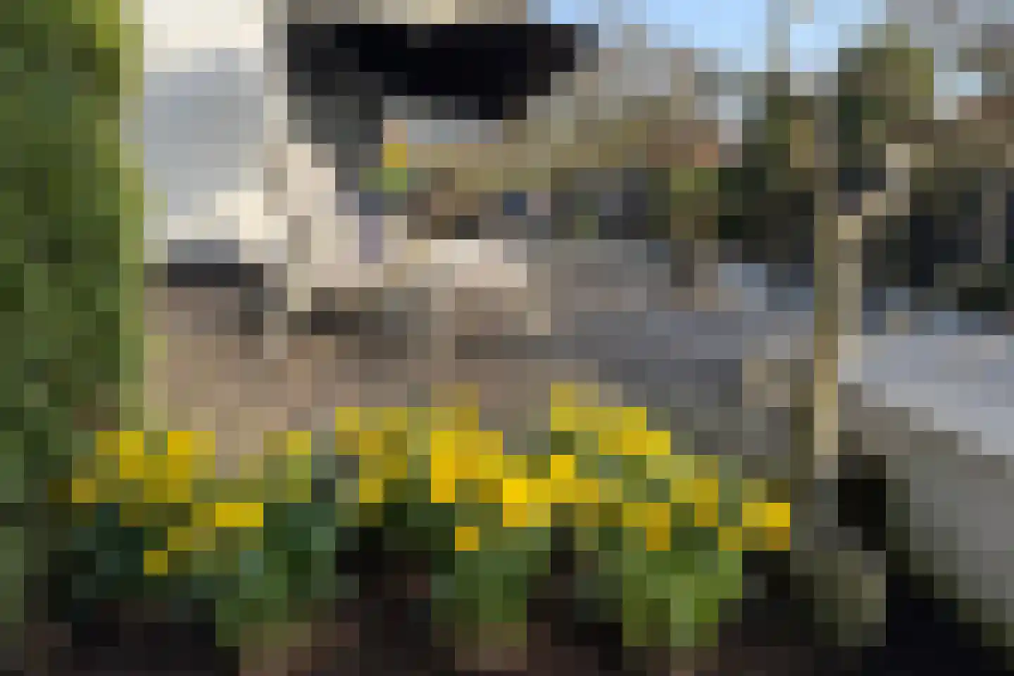 Schubertlaan 12 Rotterdam thumbnail 30