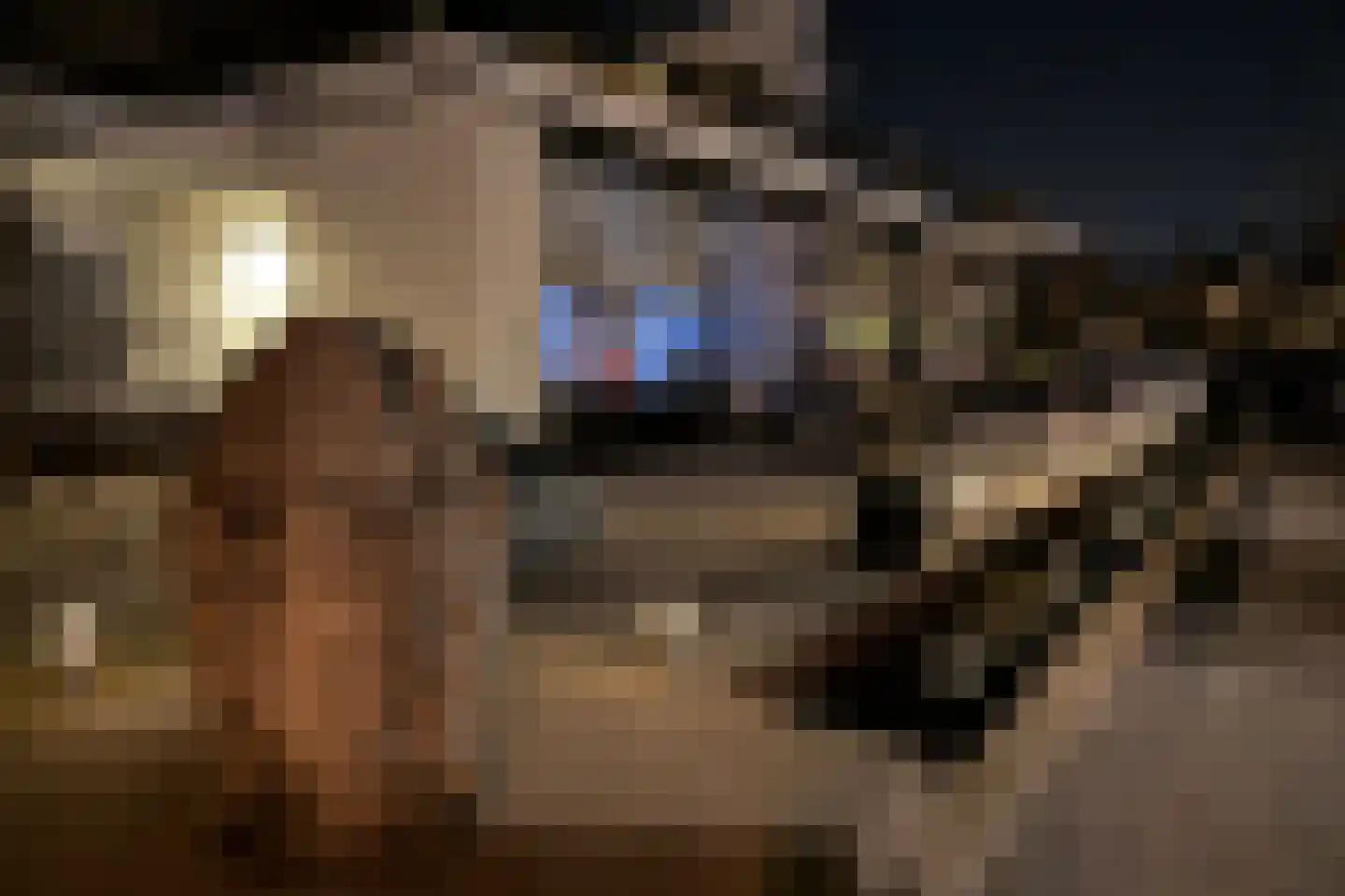 Schubertlaan 12 Rotterdam thumbnail 35
