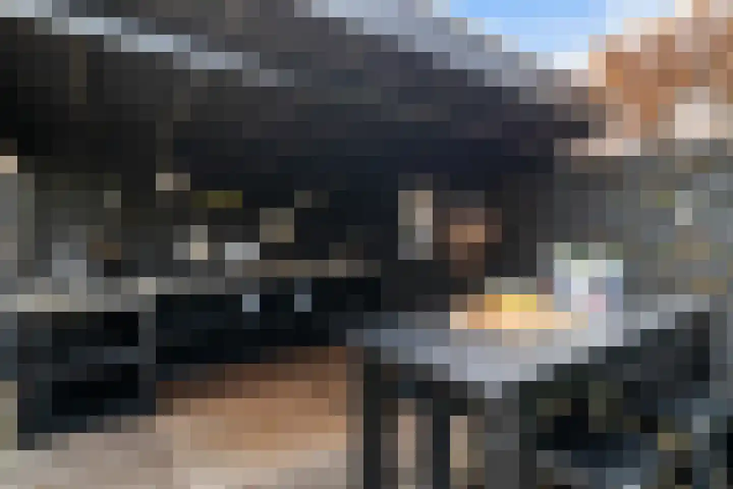 Schubertlaan 12 Rotterdam thumbnail 36