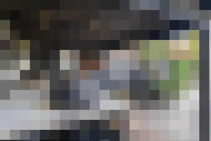 Schubertlaan 12 Rotterdam thumbnail 36
