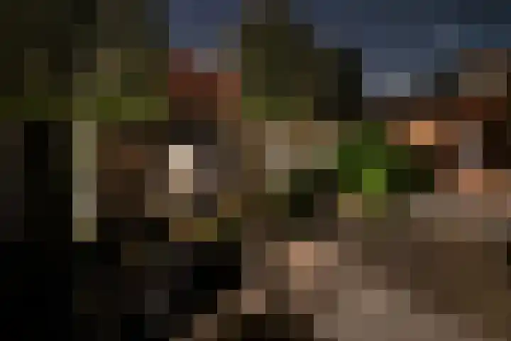 Schubertlaan 12 Rotterdam thumbnail 37