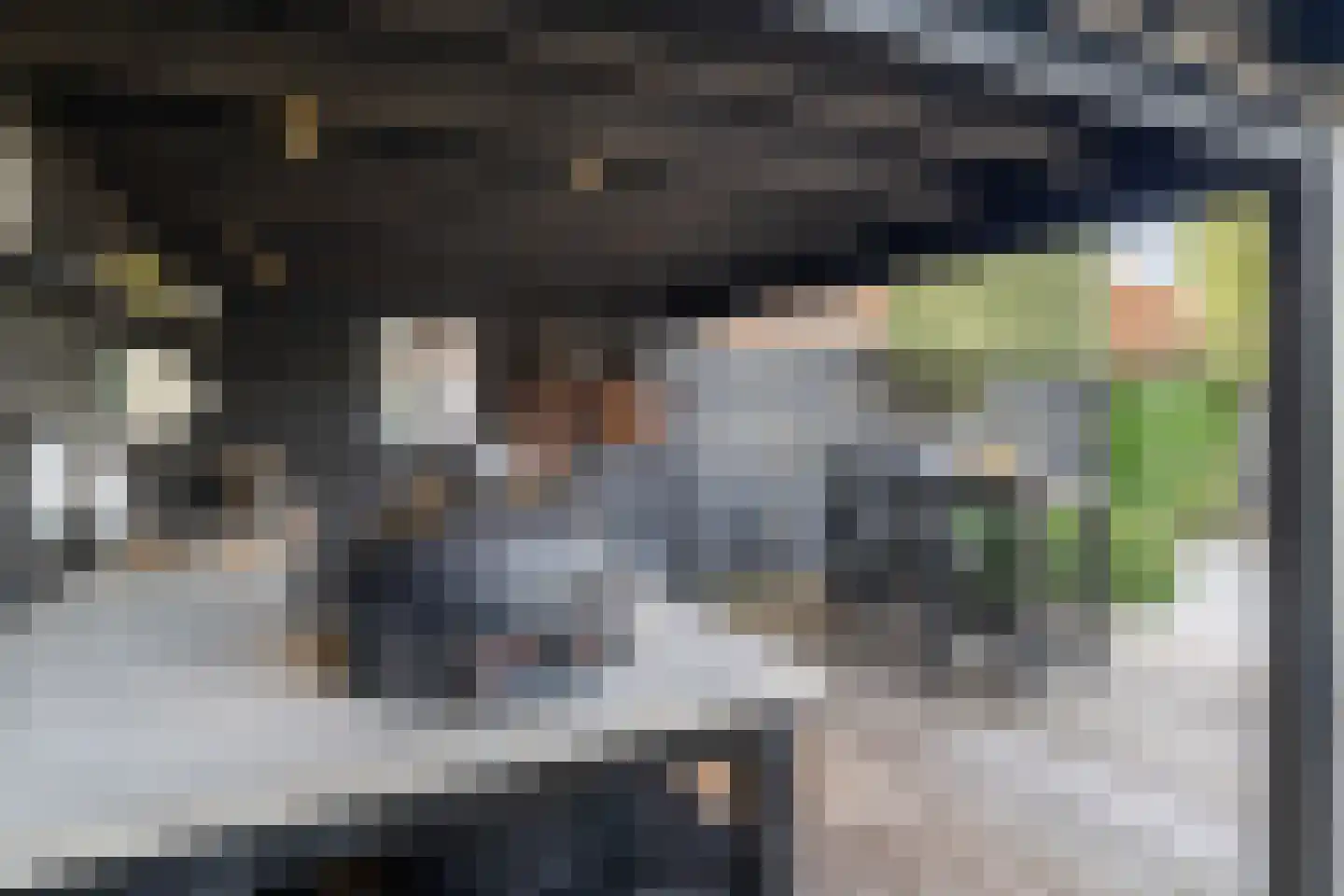 Schubertlaan 12 Rotterdam thumbnail 37