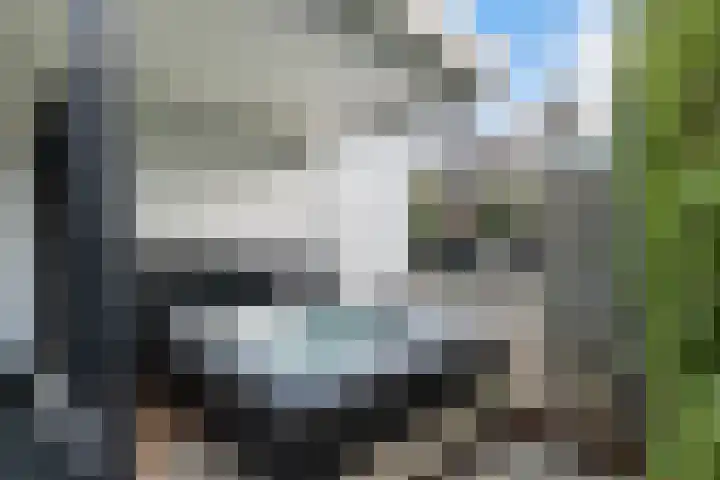 Schubertlaan 12 Rotterdam thumbnail 39
