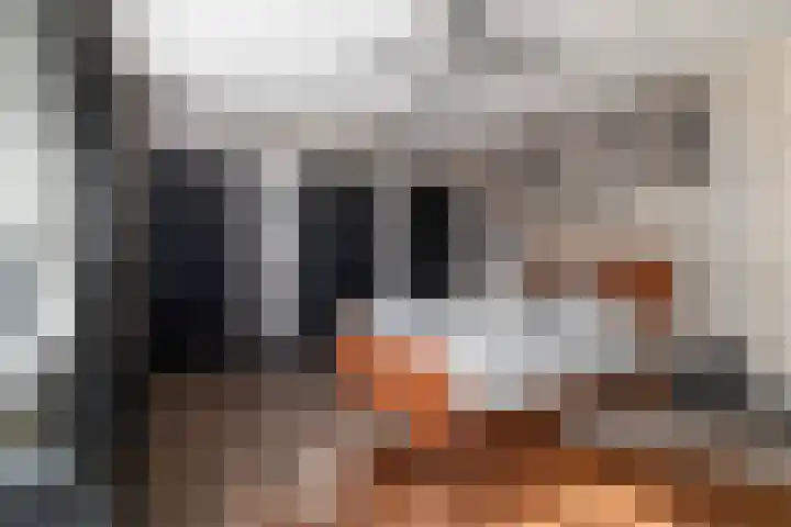 Schubertlaan 12 Rotterdam thumbnail 43