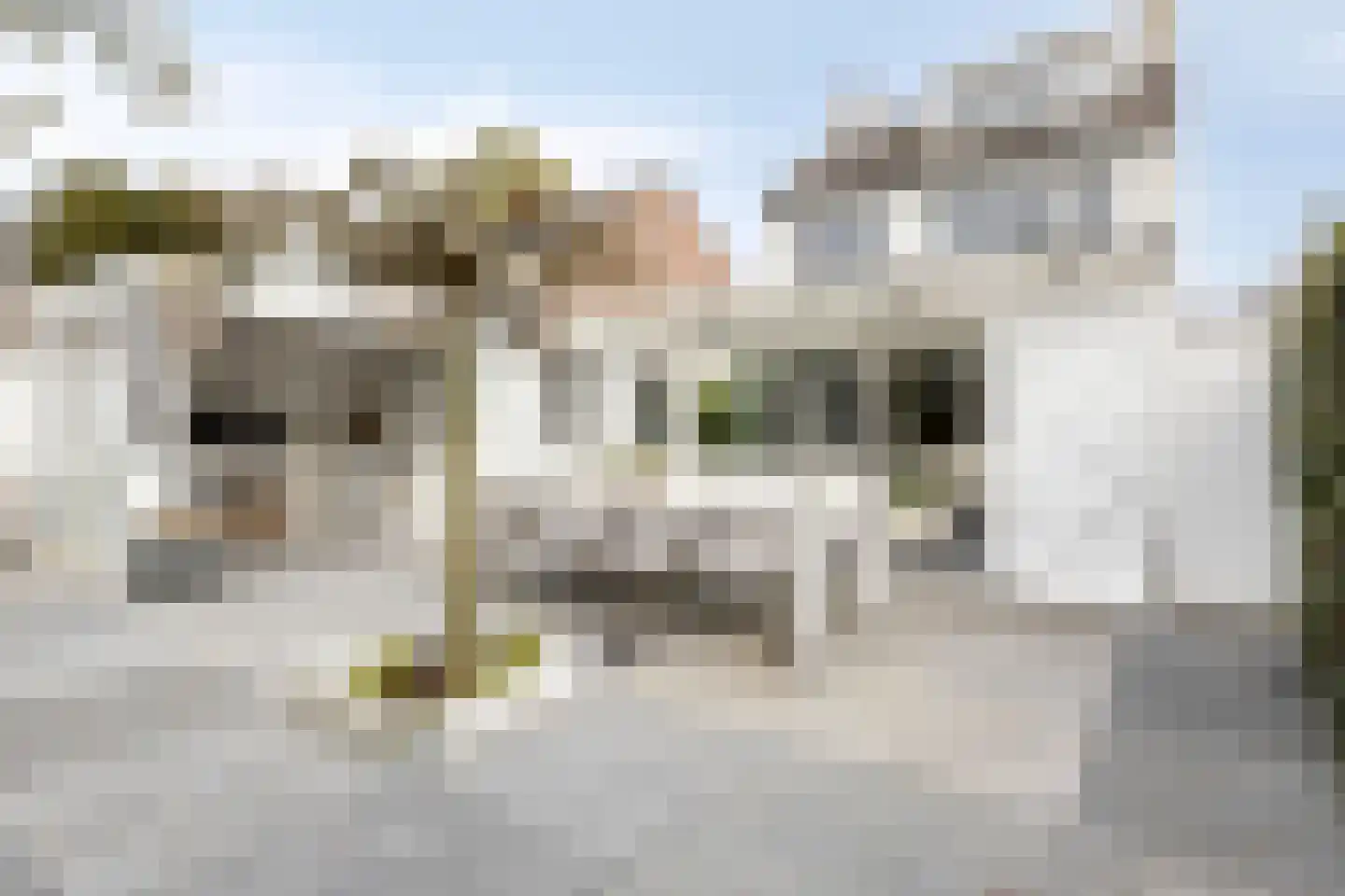 Schubertlaan 13 Roosendaal thumbnail 38