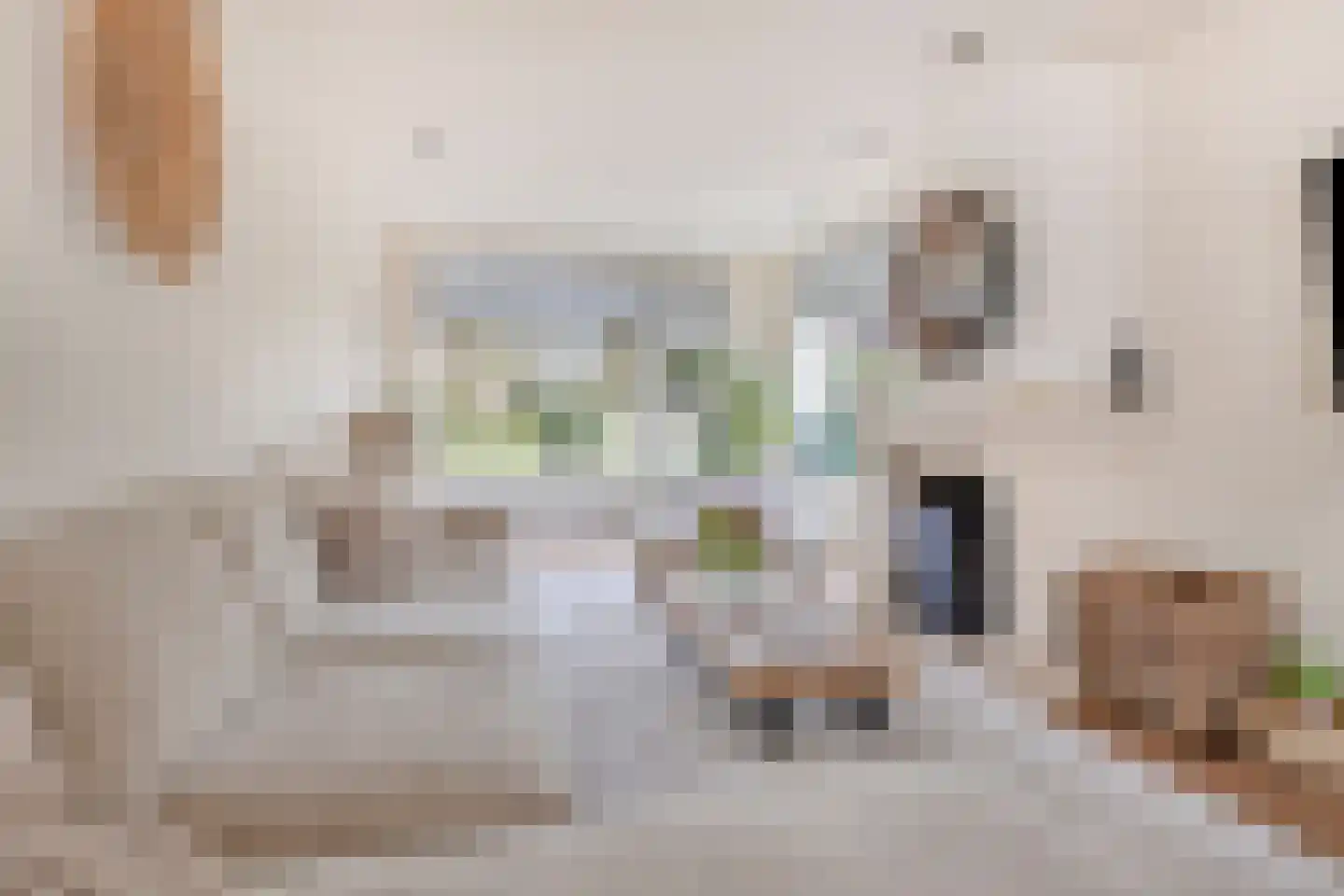 Schubertlaan 13 Roosendaal thumbnail 8