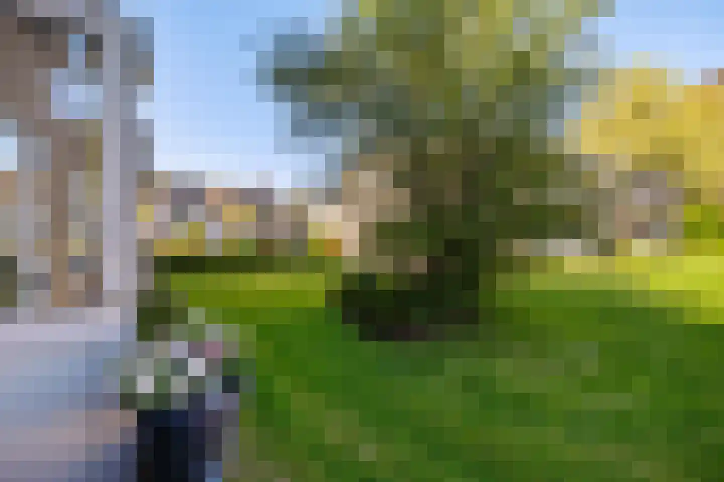 Schubertlaan 14 Groningen thumbnail 24