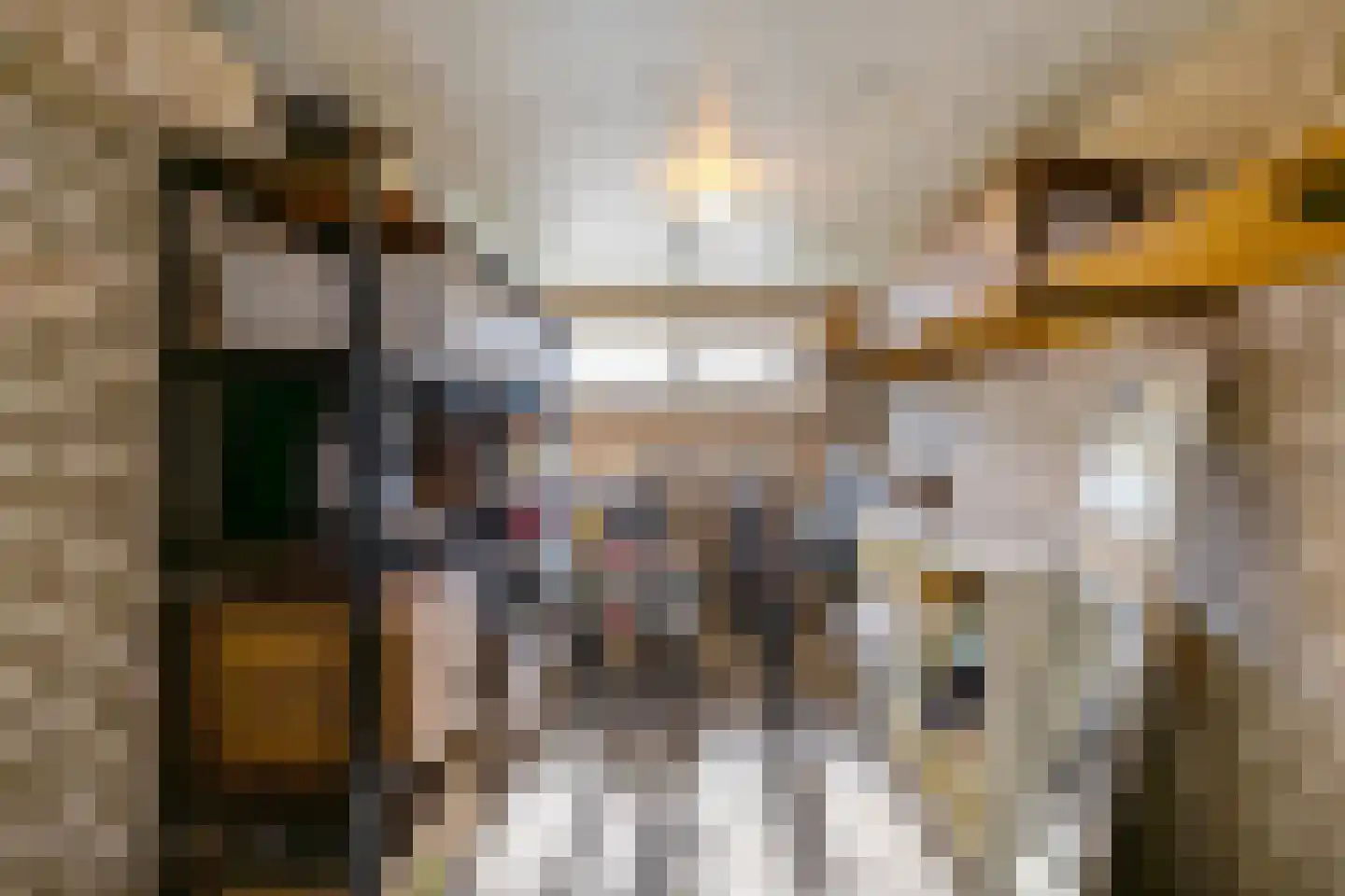 Schubertlaan 14 Groningen thumbnail 28