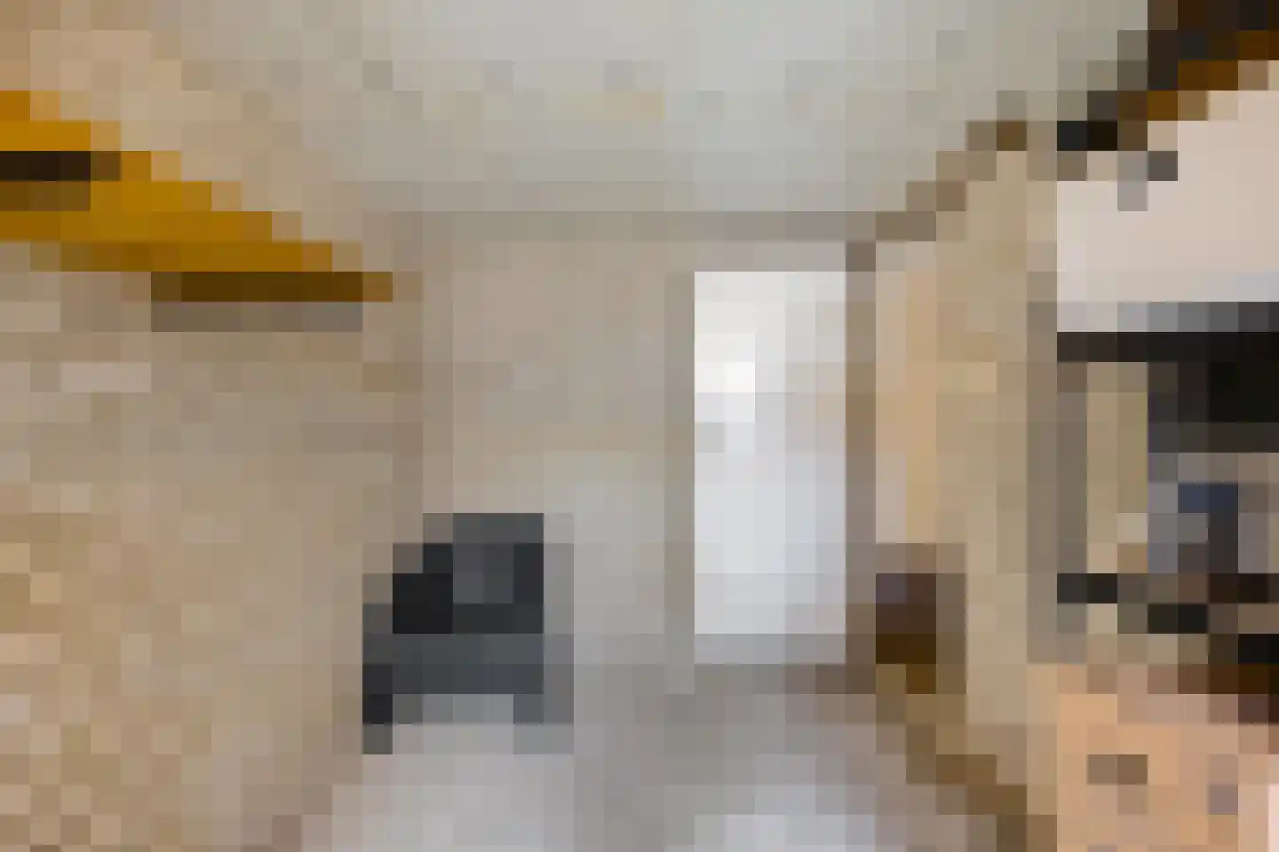Schubertlaan 14 Groningen thumbnail 29