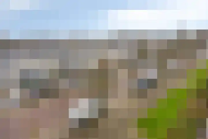 Schubertlaan 144 Leiden thumbnail 10