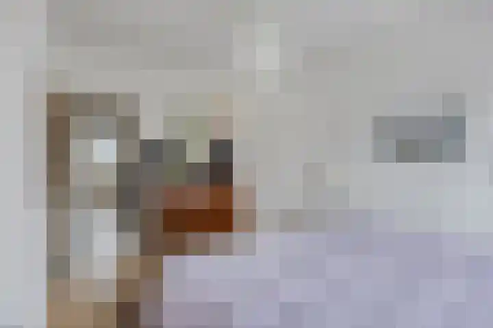 Schubertlaan 144 Leiden thumbnail 17